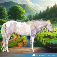 Horse Color:Chocolate Palomino Ice Pearl Tobiano 
