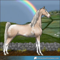 Horse Color:Chocolate Palomino Pearl Tobiano Frame  and Chocolate Palomino Pearl Splash Tobiano Frame 