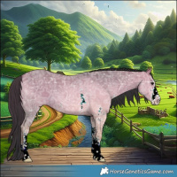 Horse Color:Bay Ice Dun Sabino 