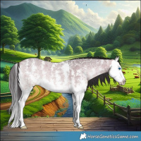 Horse Color:Bay Ice Onyx Sabino Splash