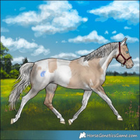 Horse Color:Chocolate Palomino Pearl Tobiano Frame  and Gray Chocolate Palomino Pearl Tobiano Frame 