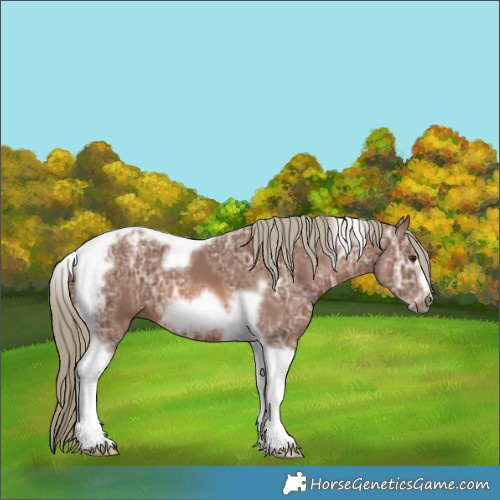 Horse Color:Chestnut Ice Mushroom Tobiano Frame 