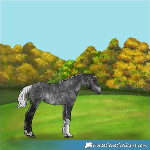 Horse Color:Silver Brown Chinchilla Ice Tobiano Rabicano 