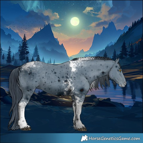 Horse Color:ERROR: UNKNOWN ANOMALY