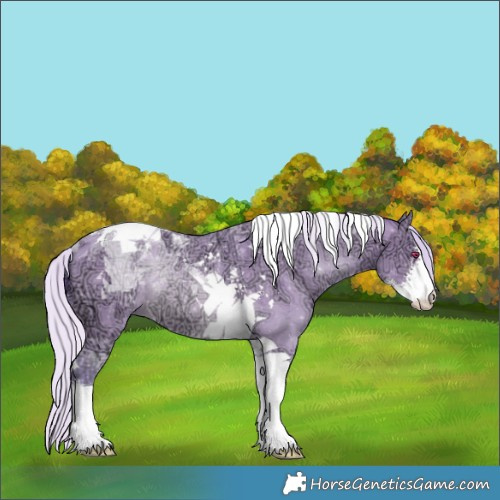 Horse Color:Watercolor Silver Bay Chinchilla Ice Sabino Tobiano Rabicano 