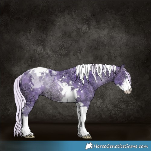 Horse Color:Watercolor Silver Brown Chinchilla Ice Sabino Tobiano Rabicano 
