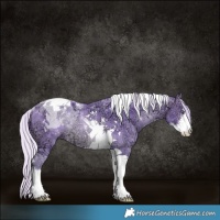 Horse Color:Watercolor Silver Brown Chinchilla Ice Sabino Tobiano Rabicano 