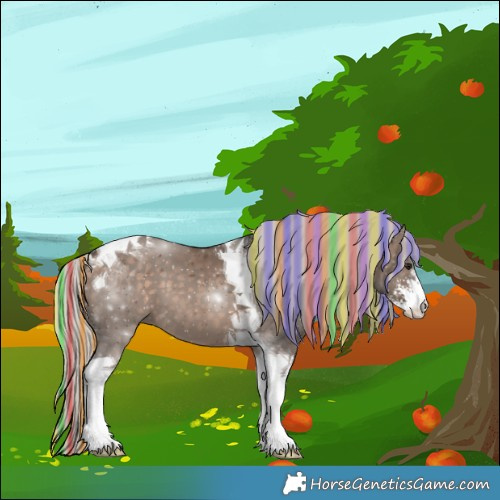 Horse Color:Painted Silver Brown Dun Sabino Tobiano 