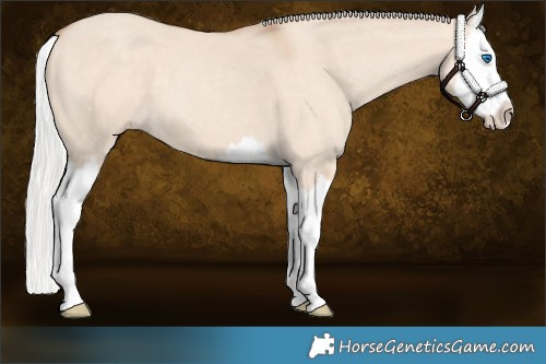 Horse Color:Silver Classic Champagne Dun Splash 