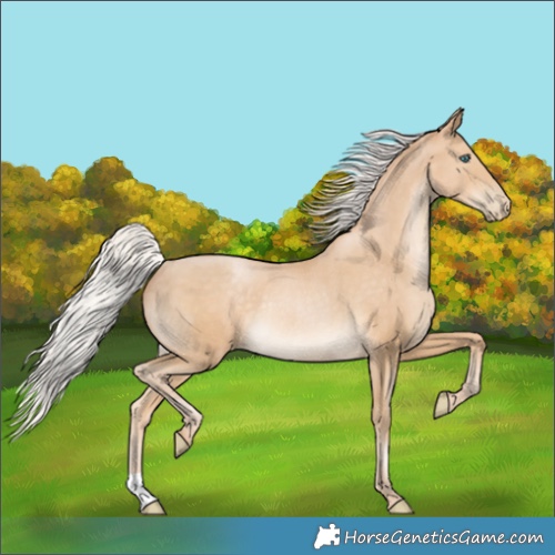 Horse Color:Silver Smoky Black Pearl Rabicano 