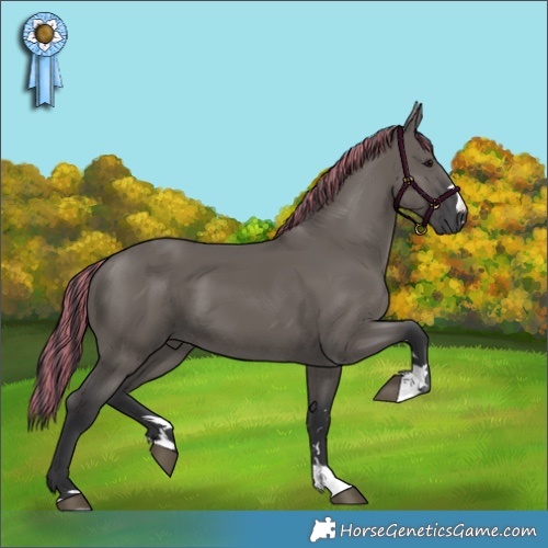 Horse Color:Painted Grullo 