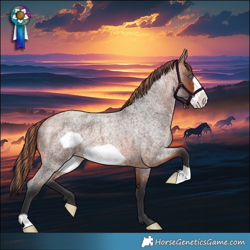 Horse Color:Painted Bay Roan Frame 