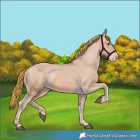 Horse Color:Painted Chestnut Varnish Rabicano 