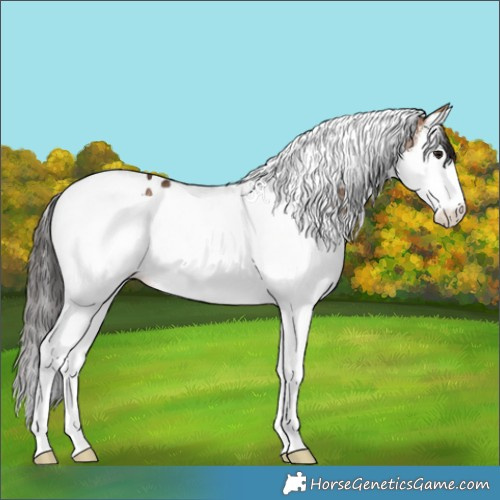 Horse Color:White Spotted Brown Dun Splash Tobiano 