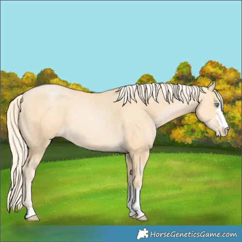 Horse Color:Palomino Pearl 