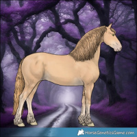 Horse Color:Gold Champagne 