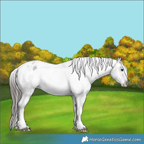 Horse Color:Blue Roan Tobiano Varnish 