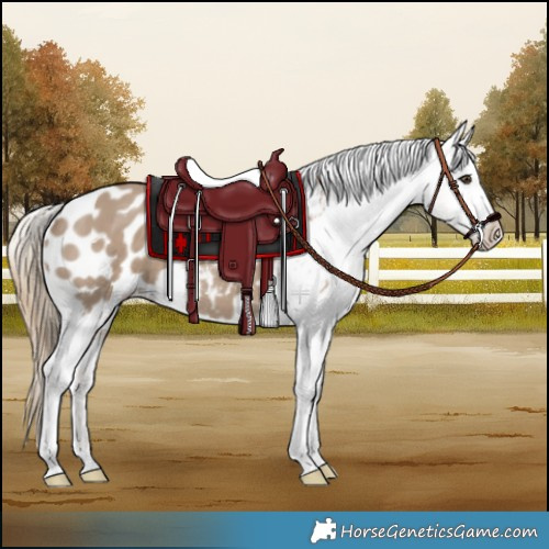 Horse Color:Liver Red Dun Varnish 