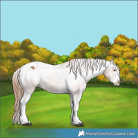 Horse Color:Chestnut Sabino Splash Tobiano Varnish 