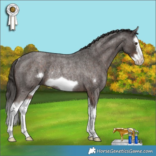 Horse Color:Liver Red Roan Splash Frame Rabicano 