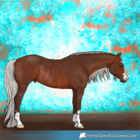 Horse Color:Silver Bay Rabicano 