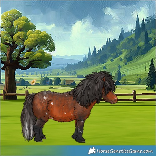 Horse Color:White Spotted Bay Appaloosa