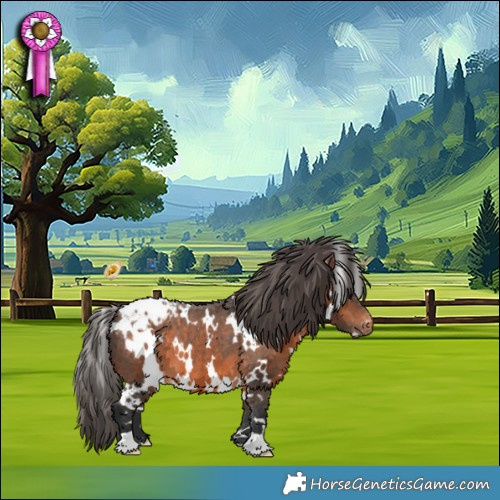 Horse Color:White Spotted Brown Appaloosa 