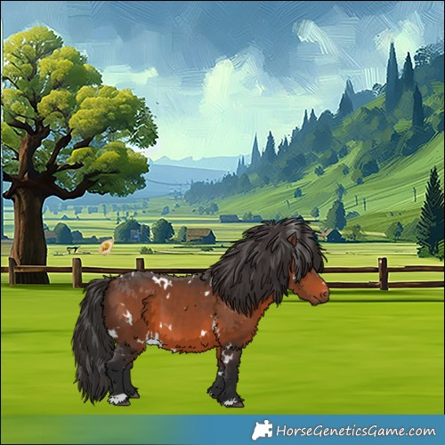 Horse Color:White Spotted Brown 