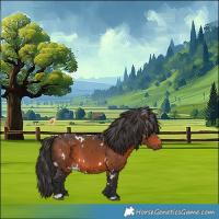 Horse Color:White Spotted Brown 