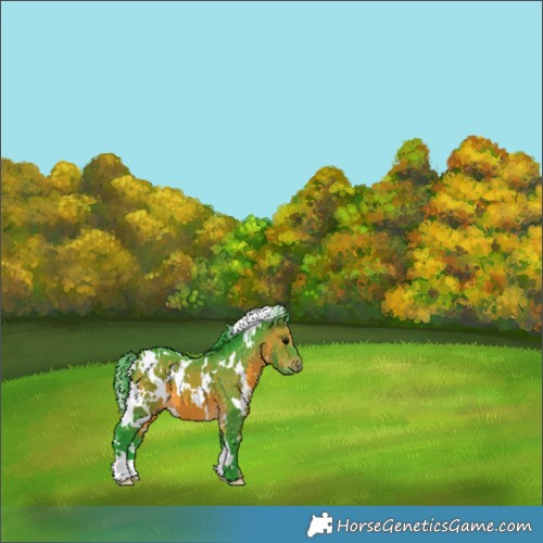 Horse Color:Watercolor White Spotted Brown 