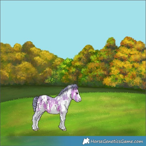 Horse Color:Watercolor White Spotted Brown 
