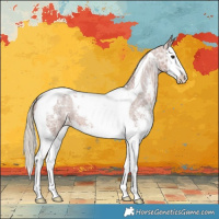 Horse Color:Chestnut Ice Sabino Splash Tobiano Varnish 