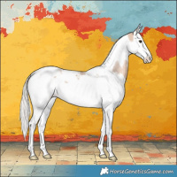 Horse Color:Silver Bay Dun Splash Tobiano Varnish Rabicano 