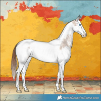 Horse Color:Red Dun Ice Sabino Splash Tobiano Varnish Rabicano 