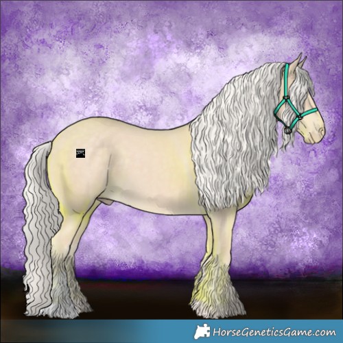 Horse Color:Cremello 