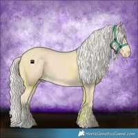 Horse Color:Cremello