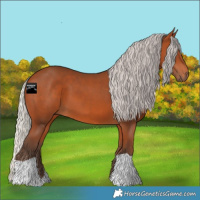 Horse Color:Silver Bay 