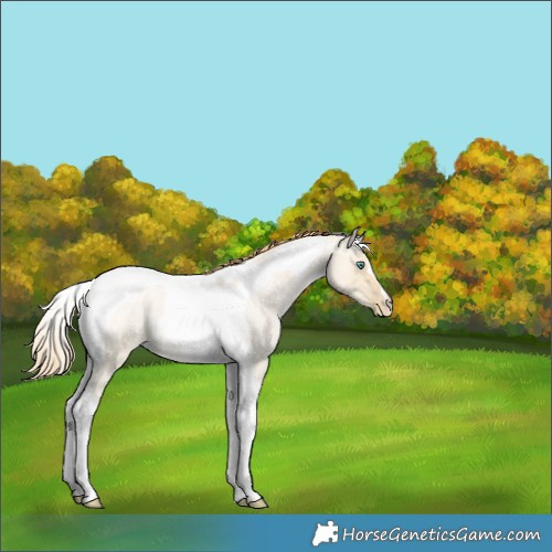 Horse Color:Smoky Grullo Roan Pearl Tobiano 