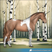 Horse Color:Liver Chestnut Pearl Tobiano 