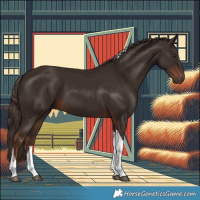 Horse Color:Liver Chestnut Tobiano 