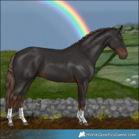 Horse Color:Liver Chestnut Tobiano