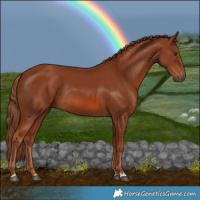 Horse Color:Chestnut Rabicano 