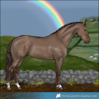 Horse Color:Liver Red Dun Rabicano 