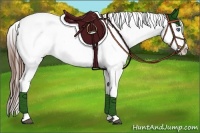 Horse Color:Bay Roan Splash Appaloosa 