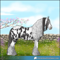 Horse Color:Smoky Black Tobiano Near Leopard 