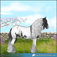 Horse Color:Black Tobiano Near Leopard 