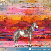 Horse Color:Silver Black Sabino Rabicano