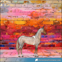 Horse Color:Chocolate Palomino Roan Tobiano Rabicano 