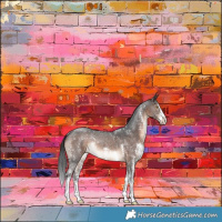 Horse Color:Brown Sabino Rabicano 