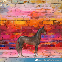 Horse Color:Liver Chestnut Rabicano 